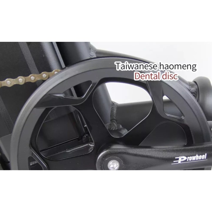 Galingas Sulankstomas Elektrinis Dviratis 1000 W 48 V 18 | Medisa.lt