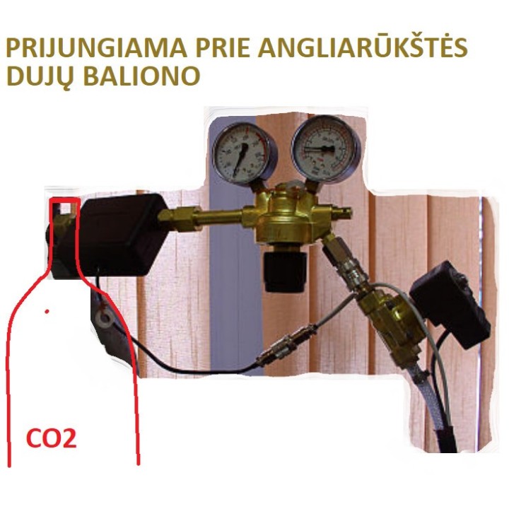 Sausos angliarūgštės CO2 kapsulė | Medisa.lt