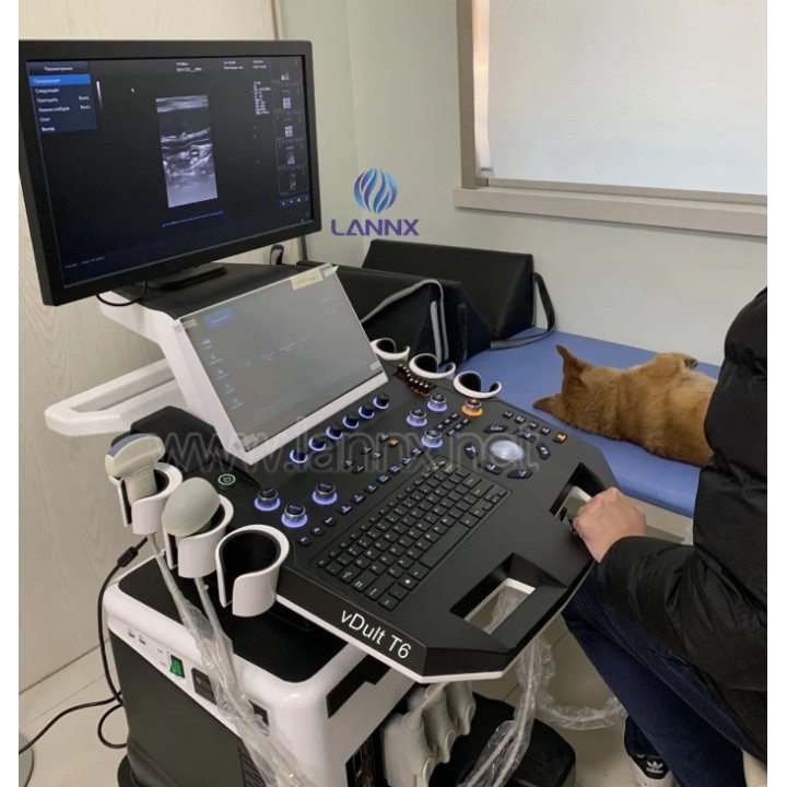 Veterinarinis ultragarsinis aparatas T6 | Medisa.lt